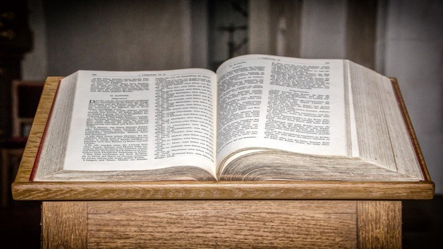 C’è qualche errore nella Bibbia? Come possiamo trattare correttamente la Bibbia?