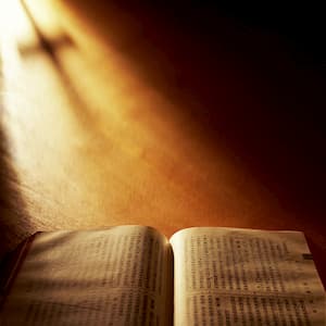 È davvero tutta la parola di Dio nella Bibbia?