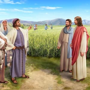  I farisei condannarono il Signore Gesù